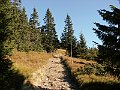 Orava 059